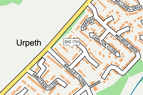 DH2 1TH map - OS OpenMap – Local (Ordnance Survey)