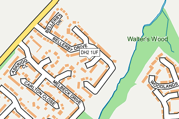 DH2 1UF map - OS OpenMap – Local (Ordnance Survey)