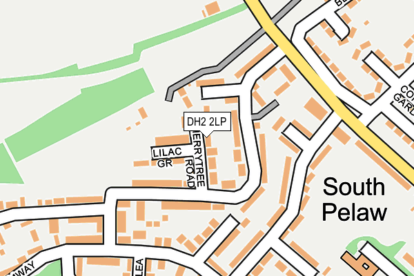 DH2 2LP map - OS OpenMap – Local (Ordnance Survey)