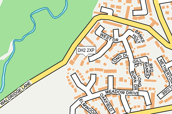 DH2 2XP map - OS OpenMap – Local (Ordnance Survey)