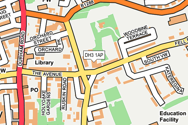 DH3 1AP map - OS OpenMap – Local (Ordnance Survey)