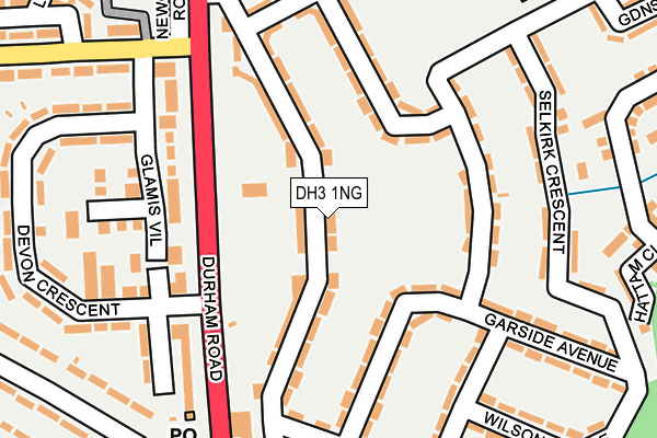 DH3 1NG map - OS OpenMap – Local (Ordnance Survey)