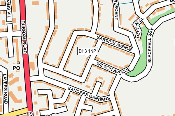 DH3 1NP map - OS OpenMap – Local (Ordnance Survey)