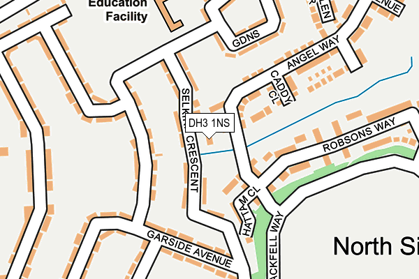 DH3 1NS map - OS OpenMap – Local (Ordnance Survey)