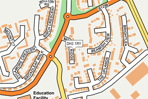 DH3 1RY map - OS OpenMap – Local (Ordnance Survey)
