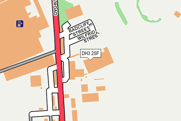 DH3 2SF map - OS OpenMap – Local (Ordnance Survey)