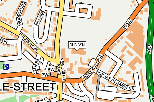 DH3 3SN map - OS OpenMap – Local (Ordnance Survey)