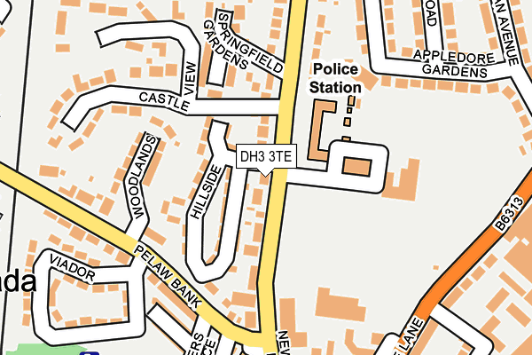 DH3 3TE map - OS OpenMap – Local (Ordnance Survey)