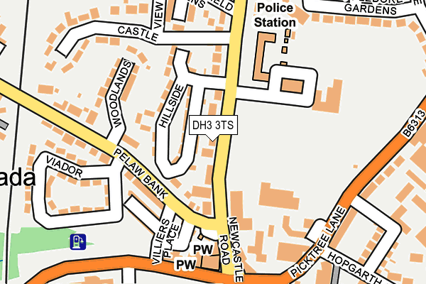 DH3 3TS map - OS OpenMap – Local (Ordnance Survey)