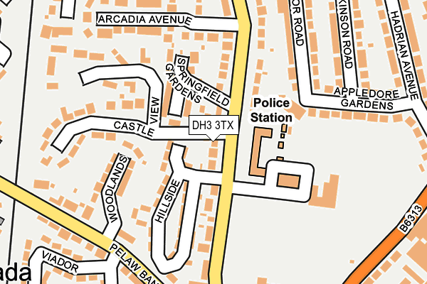 DH3 3TX map - OS OpenMap – Local (Ordnance Survey)
