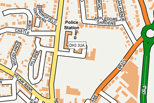 DH3 3UA map - OS OpenMap – Local (Ordnance Survey)