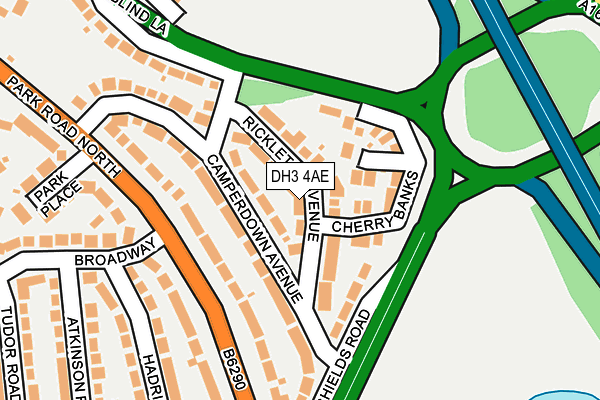 DH3 4AE map - OS OpenMap – Local (Ordnance Survey)