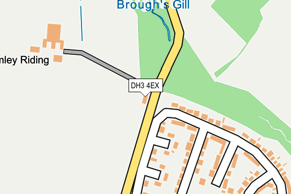 DH3 4EX map - OS OpenMap – Local (Ordnance Survey)