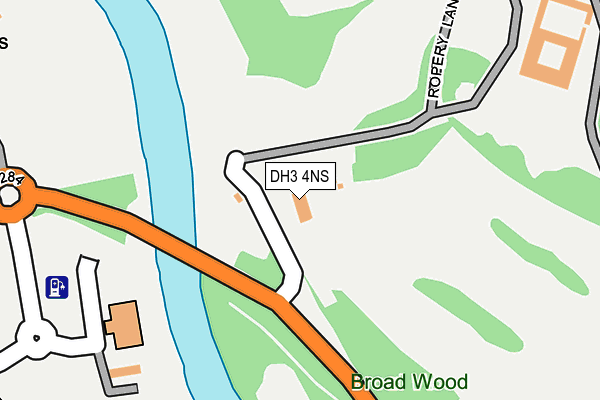 DH3 4NS map - OS OpenMap – Local (Ordnance Survey)