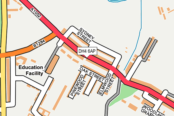 DH4 6AP map - OS OpenMap – Local (Ordnance Survey)