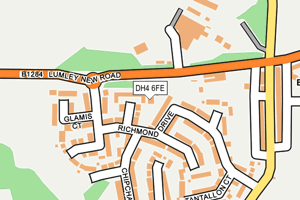 DH4 6FE map - OS OpenMap – Local (Ordnance Survey)