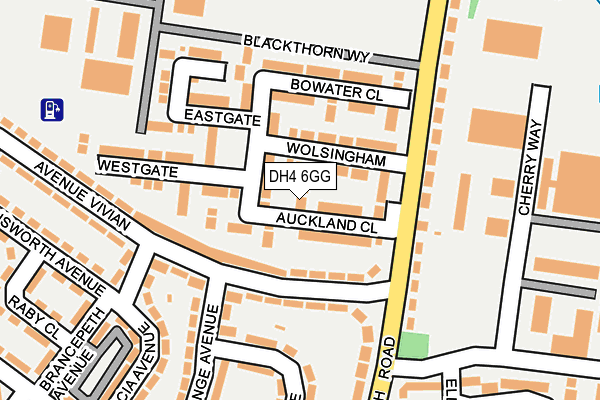 DH4 6GG map - OS OpenMap – Local (Ordnance Survey)