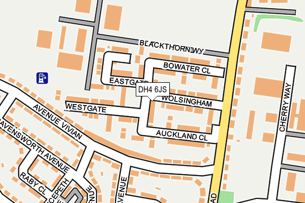 DH4 6JS map - OS OpenMap – Local (Ordnance Survey)