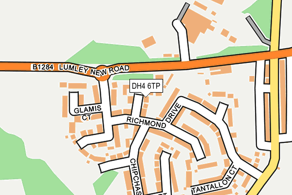 DH4 6TP map - OS OpenMap – Local (Ordnance Survey)