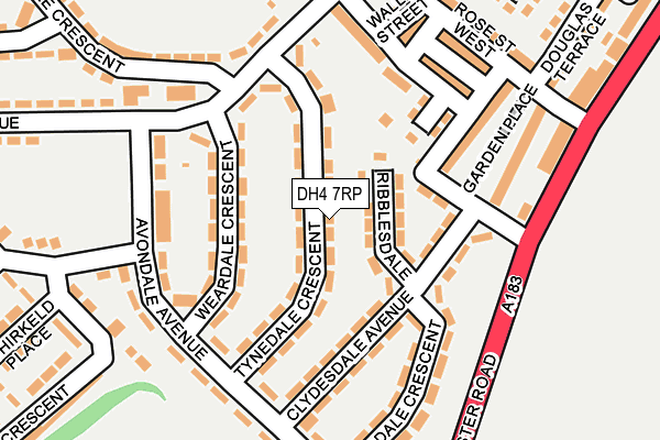 DH4 7RP map - OS OpenMap – Local (Ordnance Survey)