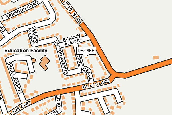 DH5 8EF map - OS OpenMap – Local (Ordnance Survey)