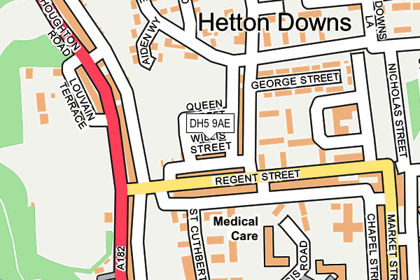 DH5 9AE map - OS OpenMap – Local (Ordnance Survey)