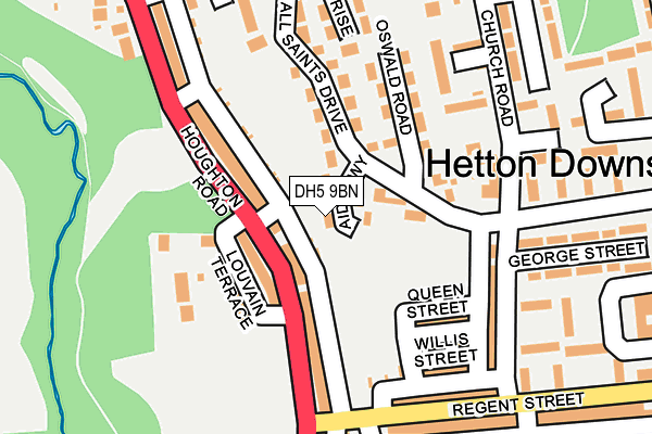 DH5 9BN map - OS OpenMap – Local (Ordnance Survey)