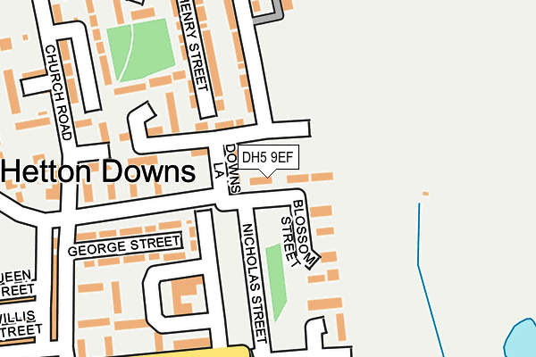 DH5 9EF map - OS OpenMap – Local (Ordnance Survey)