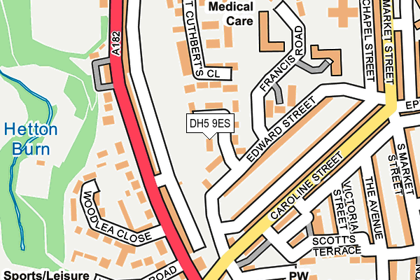 DH5 9ES map - OS OpenMap – Local (Ordnance Survey)