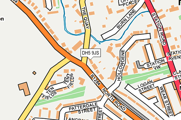 DH5 9JS map - OS OpenMap – Local (Ordnance Survey)
