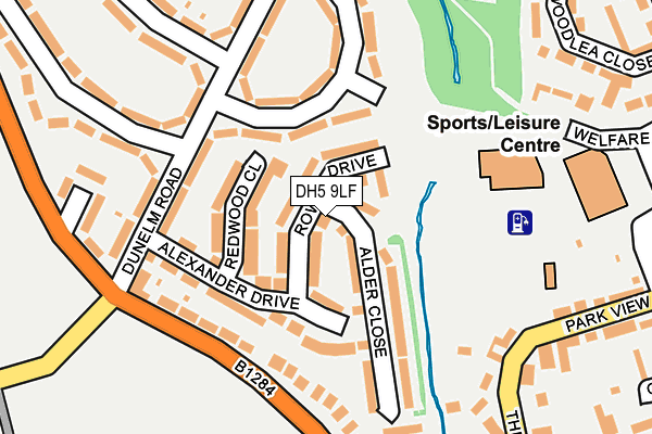 DH5 9LF map - OS OpenMap – Local (Ordnance Survey)