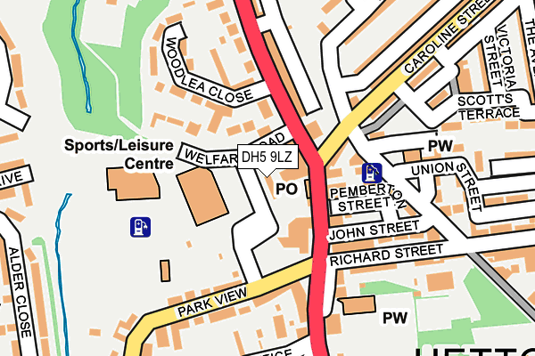 DH5 9LZ map - OS OpenMap – Local (Ordnance Survey)