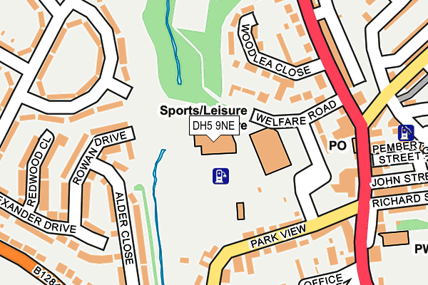 DH5 9NE map - OS OpenMap – Local (Ordnance Survey)