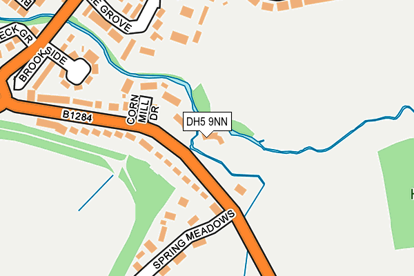 DH5 9NN map - OS OpenMap – Local (Ordnance Survey)