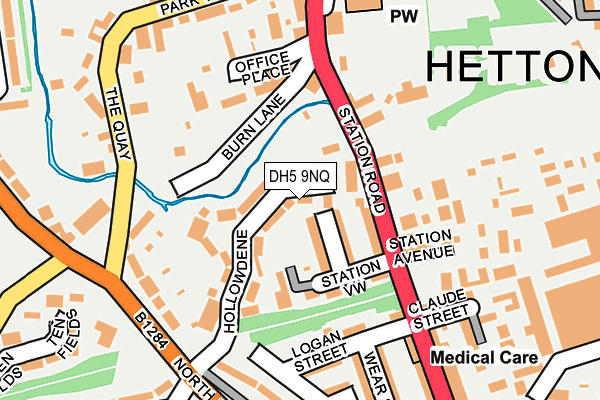DH5 9NQ map - OS OpenMap – Local (Ordnance Survey)