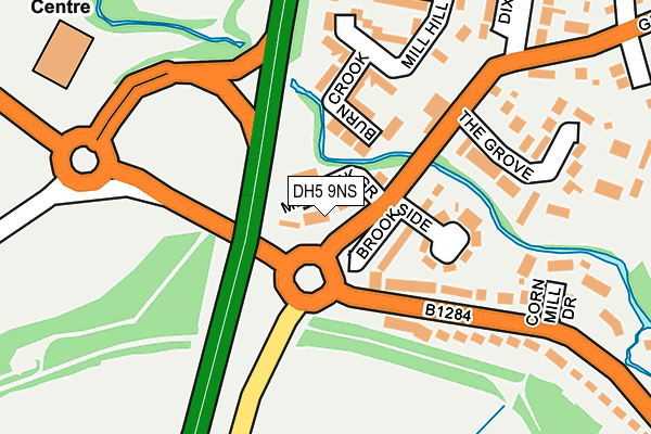 DH5 9NS map - OS OpenMap – Local (Ordnance Survey)