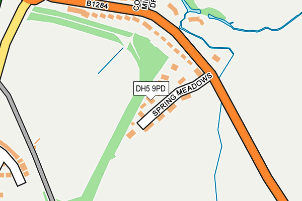 DH5 9PD map - OS OpenMap – Local (Ordnance Survey)