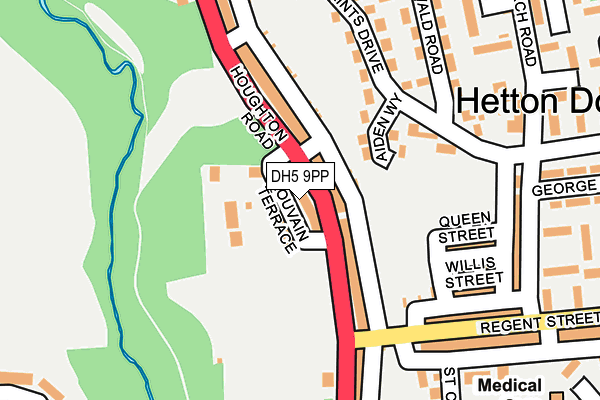 DH5 9PP map - OS OpenMap – Local (Ordnance Survey)