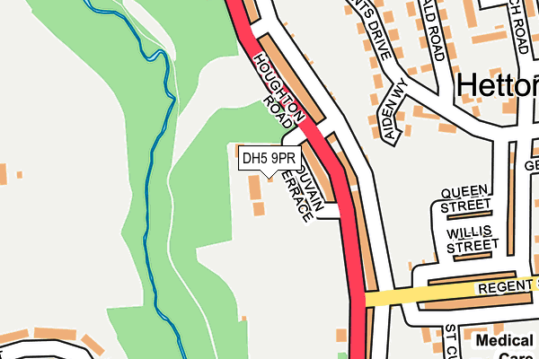 DH5 9PR map - OS OpenMap – Local (Ordnance Survey)
