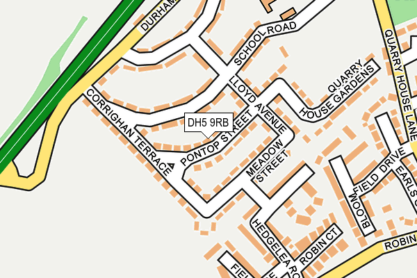 DH5 9RB map - OS OpenMap – Local (Ordnance Survey)