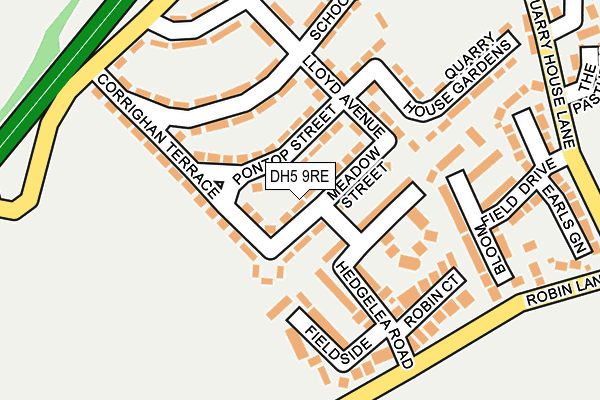DH5 9RE map - OS OpenMap – Local (Ordnance Survey)
