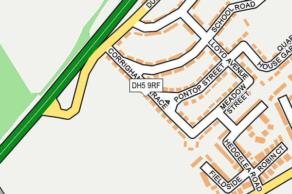 DH5 9RF map - OS OpenMap – Local (Ordnance Survey)