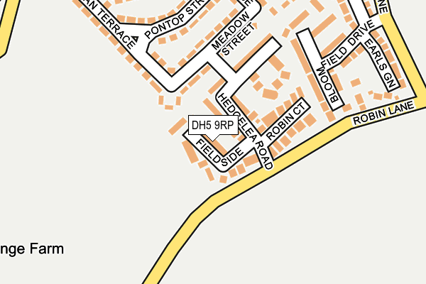 DH5 9RP map - OS OpenMap – Local (Ordnance Survey)