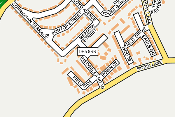 DH5 9RR map - OS OpenMap – Local (Ordnance Survey)