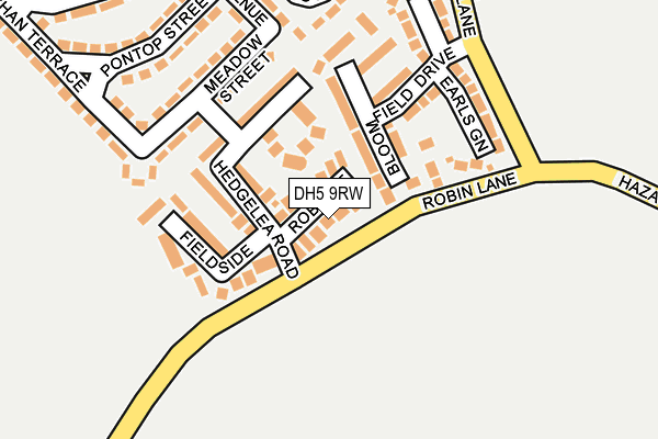 DH5 9RW map - OS OpenMap – Local (Ordnance Survey)