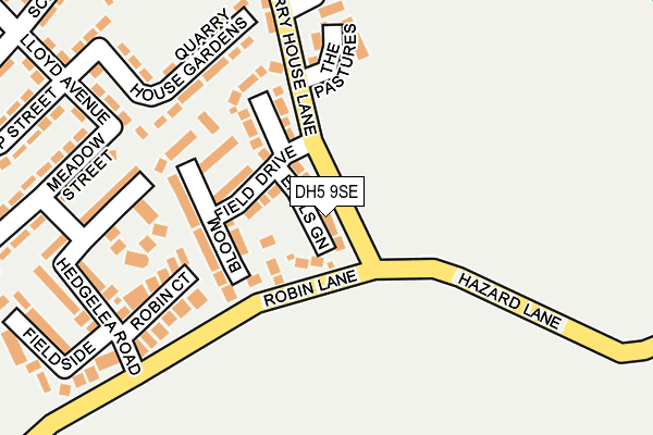 DH5 9SE map - OS OpenMap – Local (Ordnance Survey)