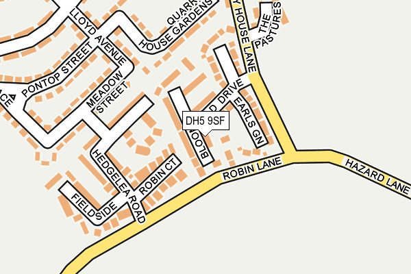 DH5 9SF map - OS OpenMap – Local (Ordnance Survey)