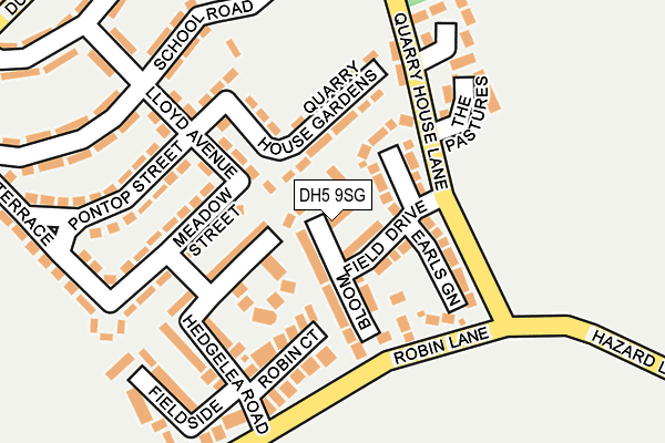 DH5 9SG map - OS OpenMap – Local (Ordnance Survey)