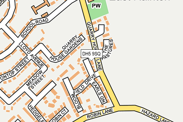 DH5 9SQ map - OS OpenMap – Local (Ordnance Survey)