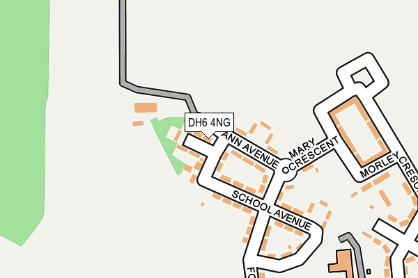 DH6 4NG map - OS OpenMap – Local (Ordnance Survey)